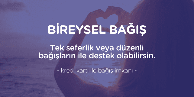 Bireysel Bağış